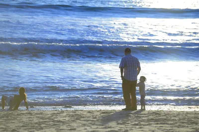 DSC_1213 (Large).JPG